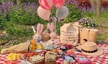 野餐兔网红吃瓜视频大全,笑料百出欢乐无限